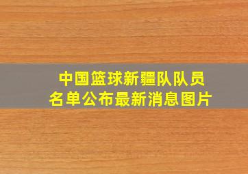 中国篮球新疆队队员名单公布最新消息图片