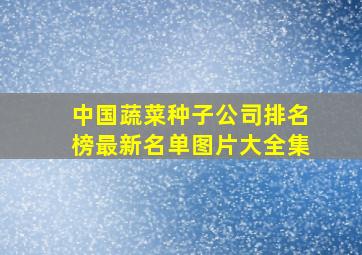 中国蔬菜种子公司排名榜最新名单图片大全集