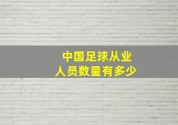 中国足球从业人员数量有多少