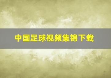 中国足球视频集锦下载