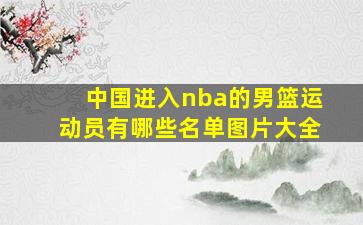 中国进入nba的男篮运动员有哪些名单图片大全