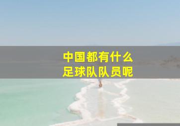 中国都有什么足球队队员呢