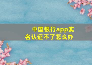 中国银行app实名认证不了怎么办