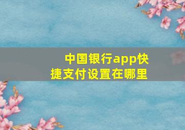 中国银行app快捷支付设置在哪里