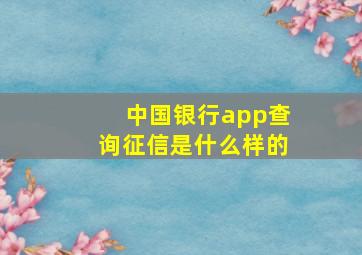 中国银行app查询征信是什么样的