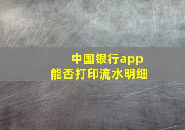 中国银行app能否打印流水明细