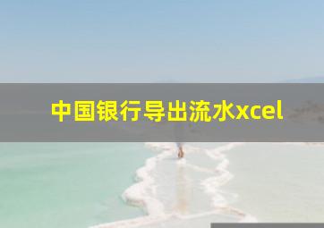 中国银行导出流水xcel