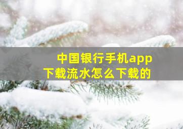 中国银行手机app下载流水怎么下载的