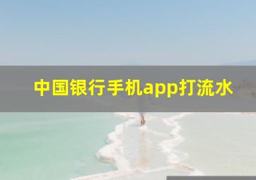 中国银行手机app打流水