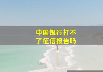 中国银行打不了征信报告吗