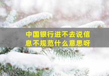 中国银行进不去说信息不规范什么意思呀