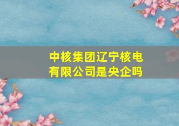 中核集团辽宁核电有限公司是央企吗