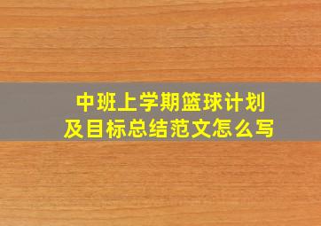 中班上学期篮球计划及目标总结范文怎么写