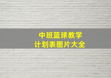 中班篮球教学计划表图片大全