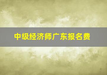 中级经济师广东报名费