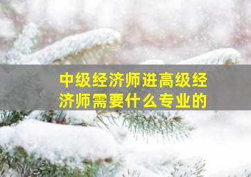 中级经济师进高级经济师需要什么专业的