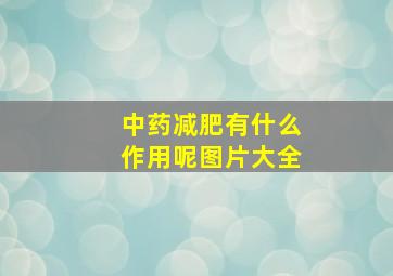 中药减肥有什么作用呢图片大全