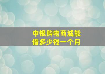 中银购物商城能借多少钱一个月