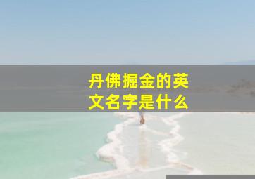 丹佛掘金的英文名字是什么