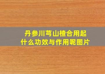 丹参川芎山楂合用起什么功效与作用呢图片