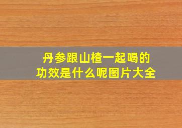 丹参跟山楂一起喝的功效是什么呢图片大全