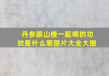 丹参跟山楂一起喝的功效是什么呢图片大全大图