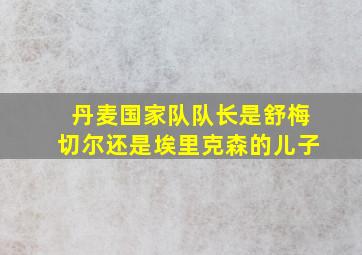 丹麦国家队队长是舒梅切尔还是埃里克森的儿子