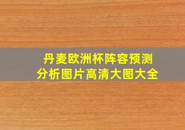 丹麦欧洲杯阵容预测分析图片高清大图大全