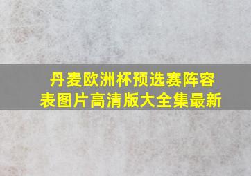 丹麦欧洲杯预选赛阵容表图片高清版大全集最新