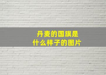 丹麦的国旗是什么样子的图片