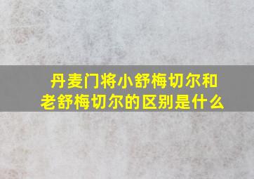 丹麦门将小舒梅切尔和老舒梅切尔的区别是什么