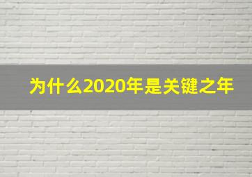 为什么2020年是关键之年