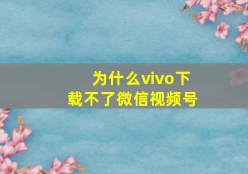 为什么vivo下载不了微信视频号