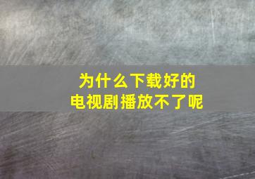 为什么下载好的电视剧播放不了呢