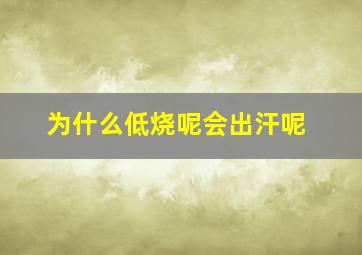 为什么低烧呢会出汗呢