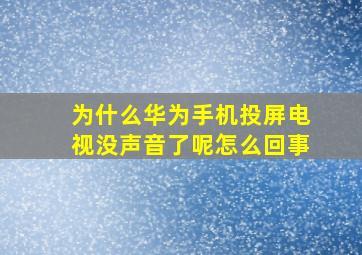 为什么华为手机投屏电视没声音了呢怎么回事