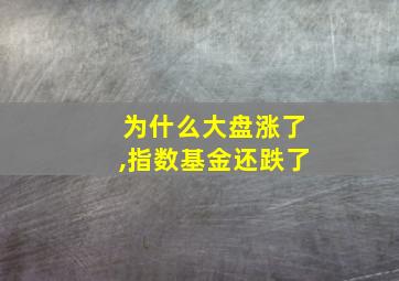 为什么大盘涨了,指数基金还跌了