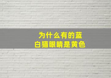 为什么有的蓝白猫眼睛是黄色