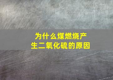 为什么煤燃烧产生二氧化硫的原因