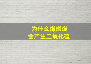 为什么煤燃烧会产生二氧化硫