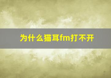 为什么猫耳fm打不开