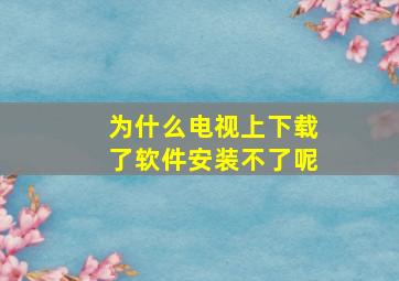 为什么电视上下载了软件安装不了呢