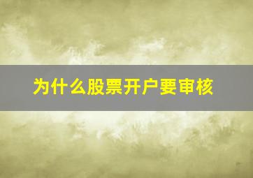 为什么股票开户要审核