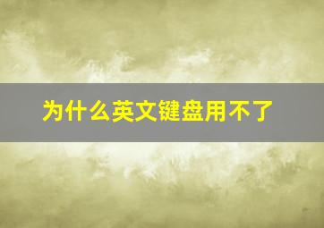 为什么英文键盘用不了