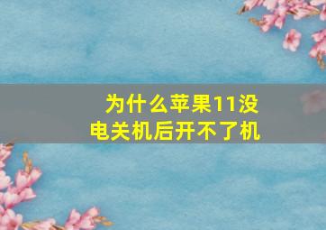 为什么苹果11没电关机后开不了机