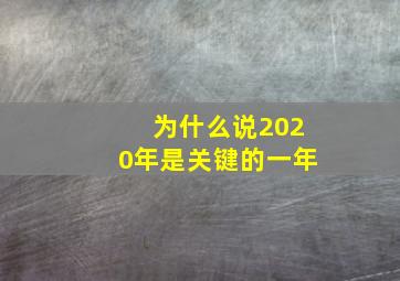 为什么说2020年是关键的一年