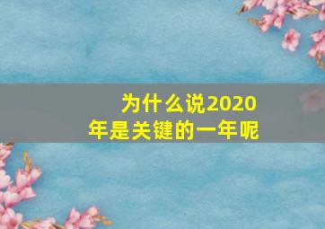 为什么说2020年是关键的一年呢