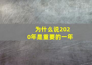 为什么说2020年是重要的一年