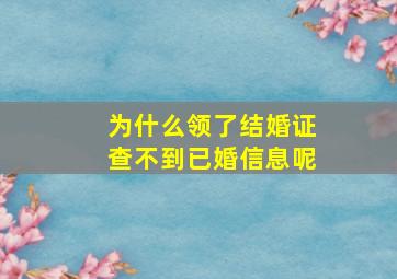 为什么领了结婚证查不到已婚信息呢