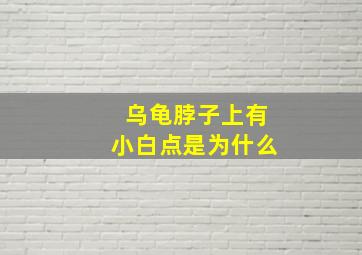 乌龟脖子上有小白点是为什么